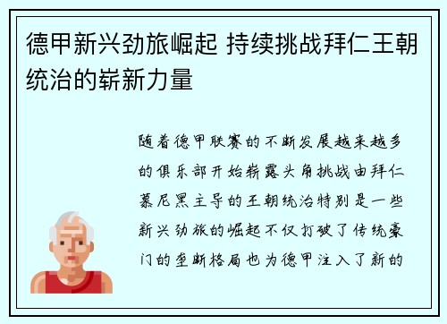 德甲新兴劲旅崛起 持续挑战拜仁王朝统治的崭新力量